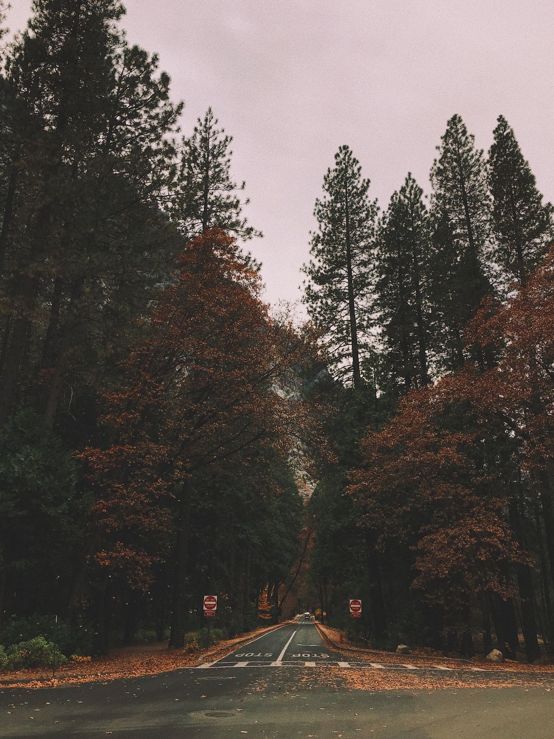 Fall – Yosemite